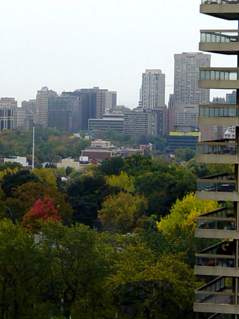 Deer Park Real Estate Toronto