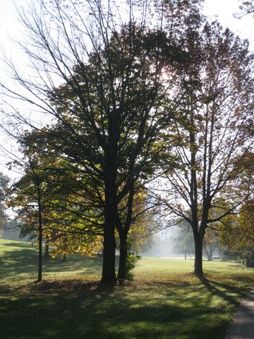 DON MILLS - EDWARDS GARDENS